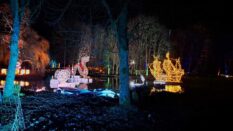 {{brizy_dc_image_alt imageSrc=