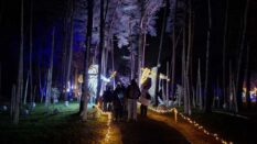 {{brizy_dc_image_alt imageSrc=