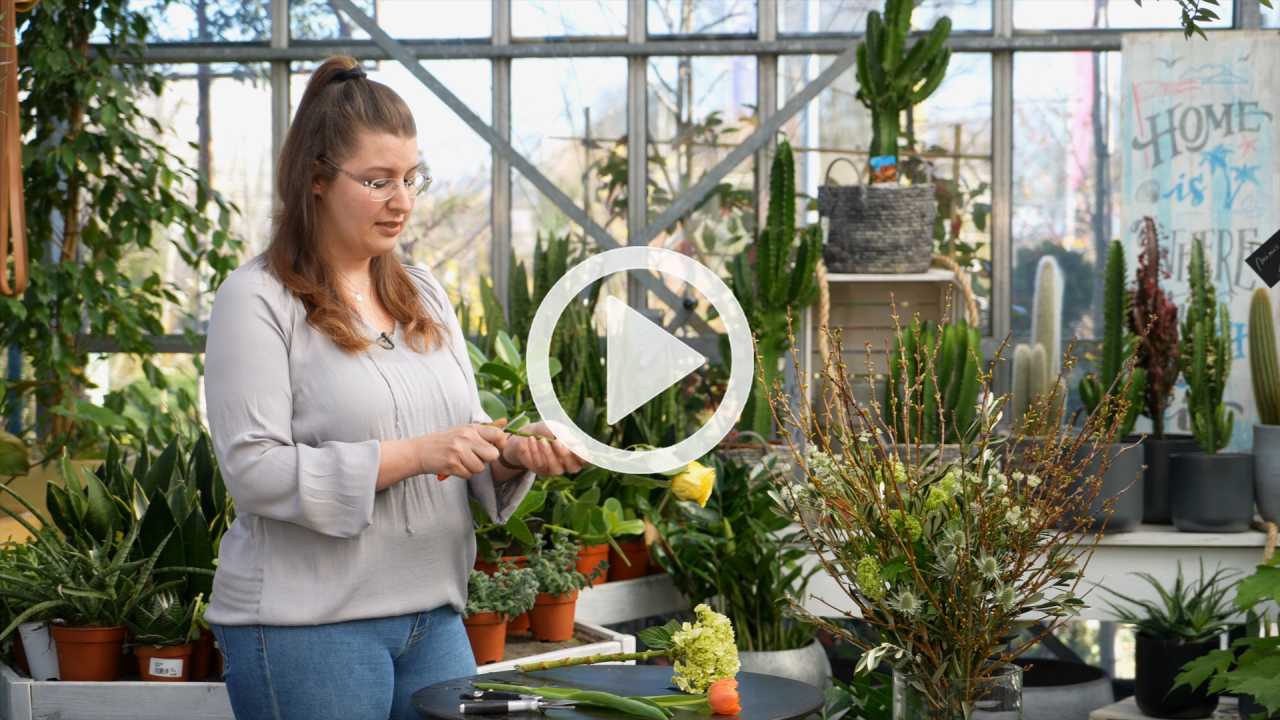 Schnittblumen – Tipps {{brizy_dc_image_alt imageSrc=