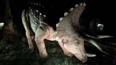 {{brizy_dc_image_alt imageSrc=