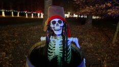 {{brizy_dc_image_alt imageSrc=