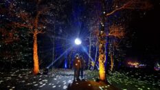 {{brizy_dc_image_alt imageSrc=