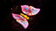 {{brizy_dc_image_alt imageSrc=