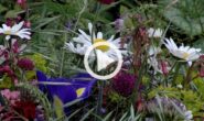 Gartenzauber